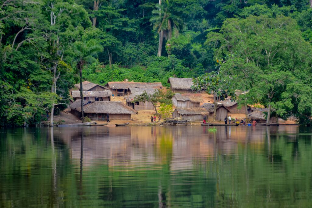 Rainforest Experiences –  The Amazon vs. The Congo